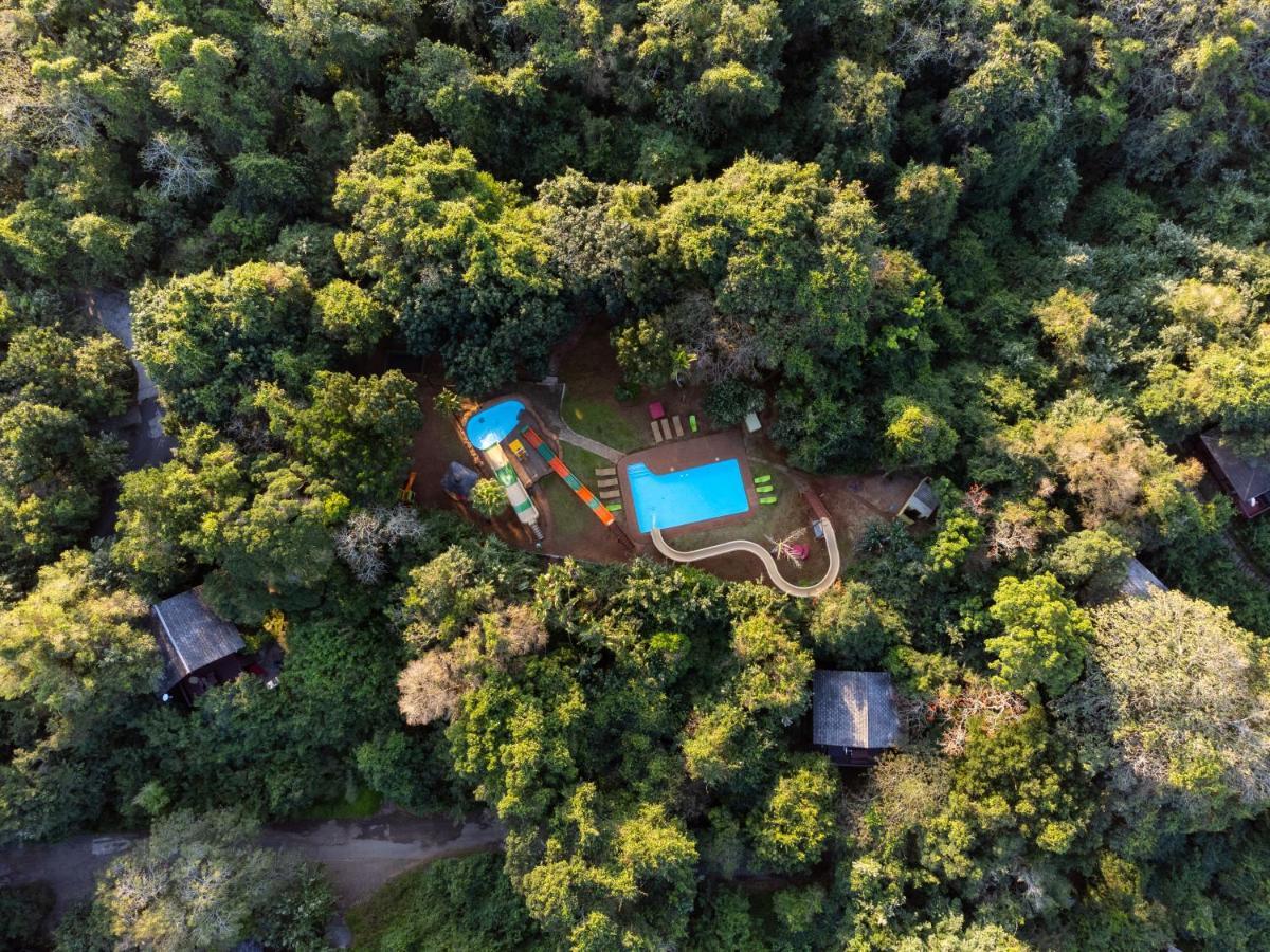 Mtunzini Forest Lodge Self Catering Resort Екстер'єр фото