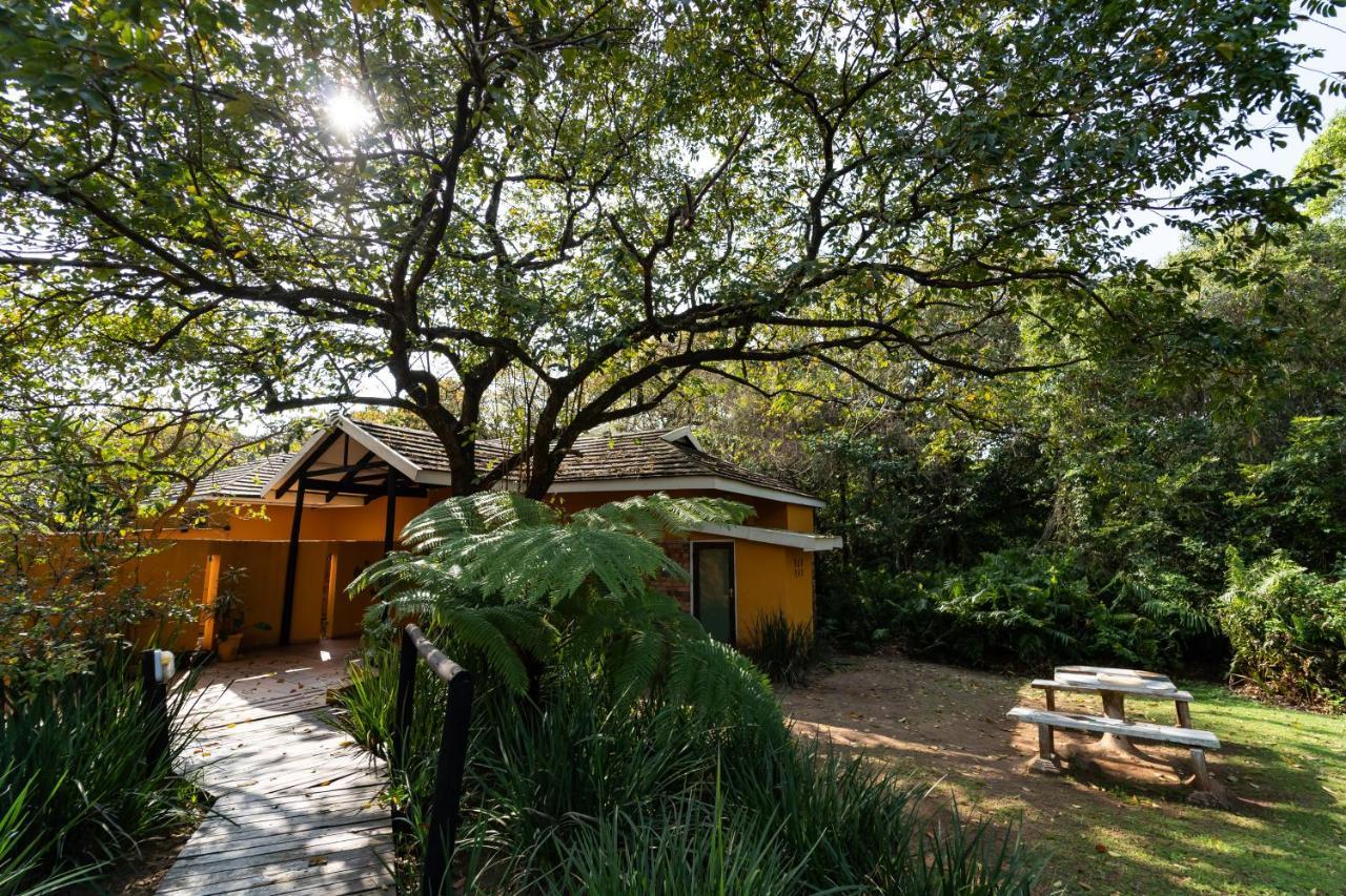 Mtunzini Forest Lodge Self Catering Resort Екстер'єр фото