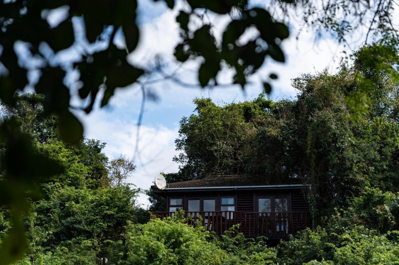 Mtunzini Forest Lodge Self Catering Resort Екстер'єр фото
