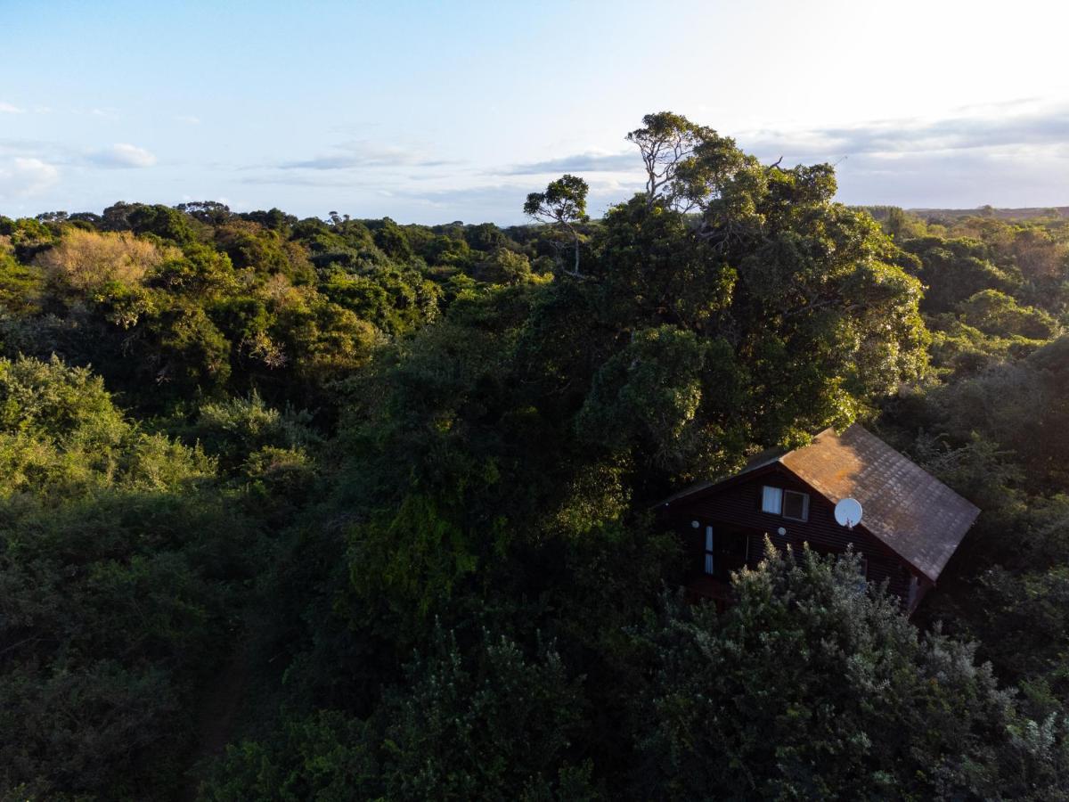 Mtunzini Forest Lodge Self Catering Resort Екстер'єр фото