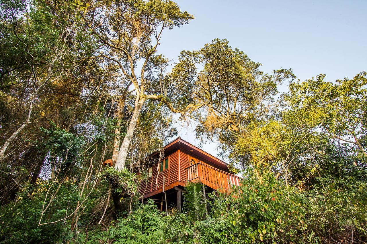 Mtunzini Forest Lodge Self Catering Resort Екстер'єр фото